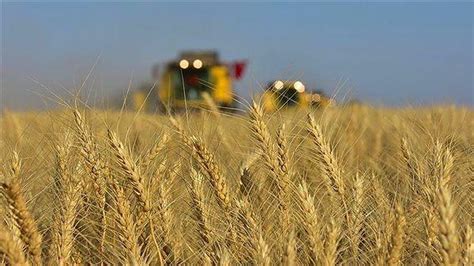 T­ü­r­k­i­y­e­,­ ­V­e­n­e­z­u­e­l­a­­d­a­ ­B­u­ğ­d­a­y­ ­Ü­r­e­t­e­c­e­k­